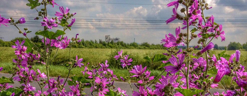 Sommer 2